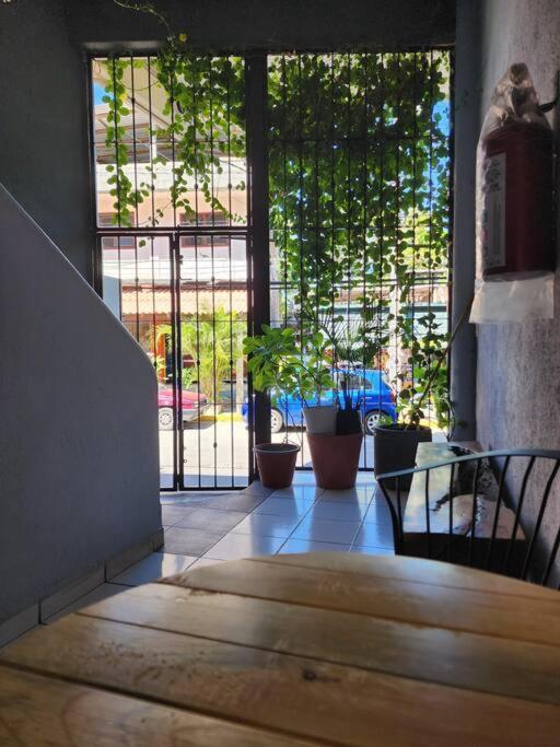 Small Studio Apt 5Min To Dt! Zihuatanejo Bagian luar foto