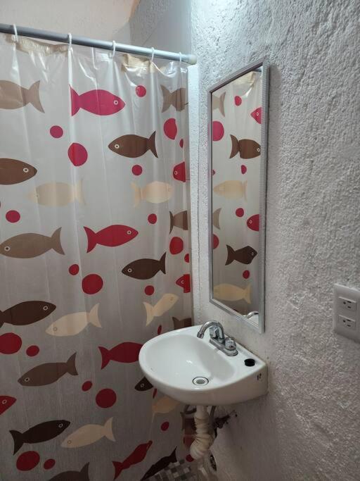 Small Studio Apt 5Min To Dt! Zihuatanejo Bagian luar foto