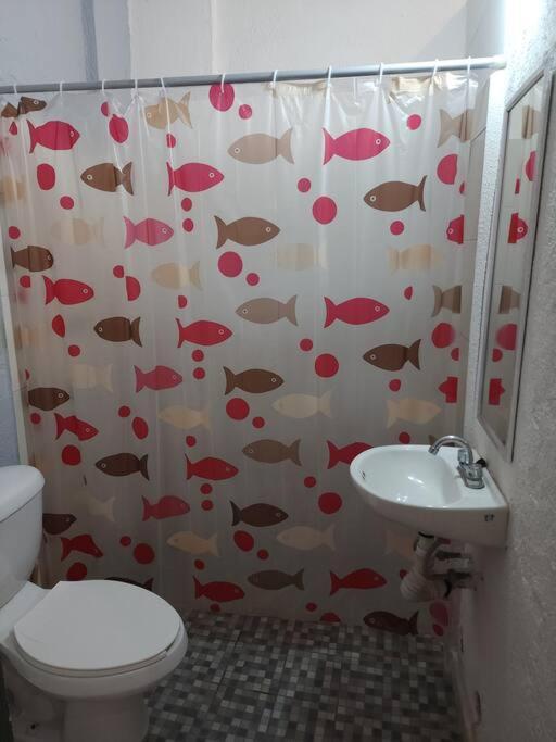 Small Studio Apt 5Min To Dt! Zihuatanejo Bagian luar foto